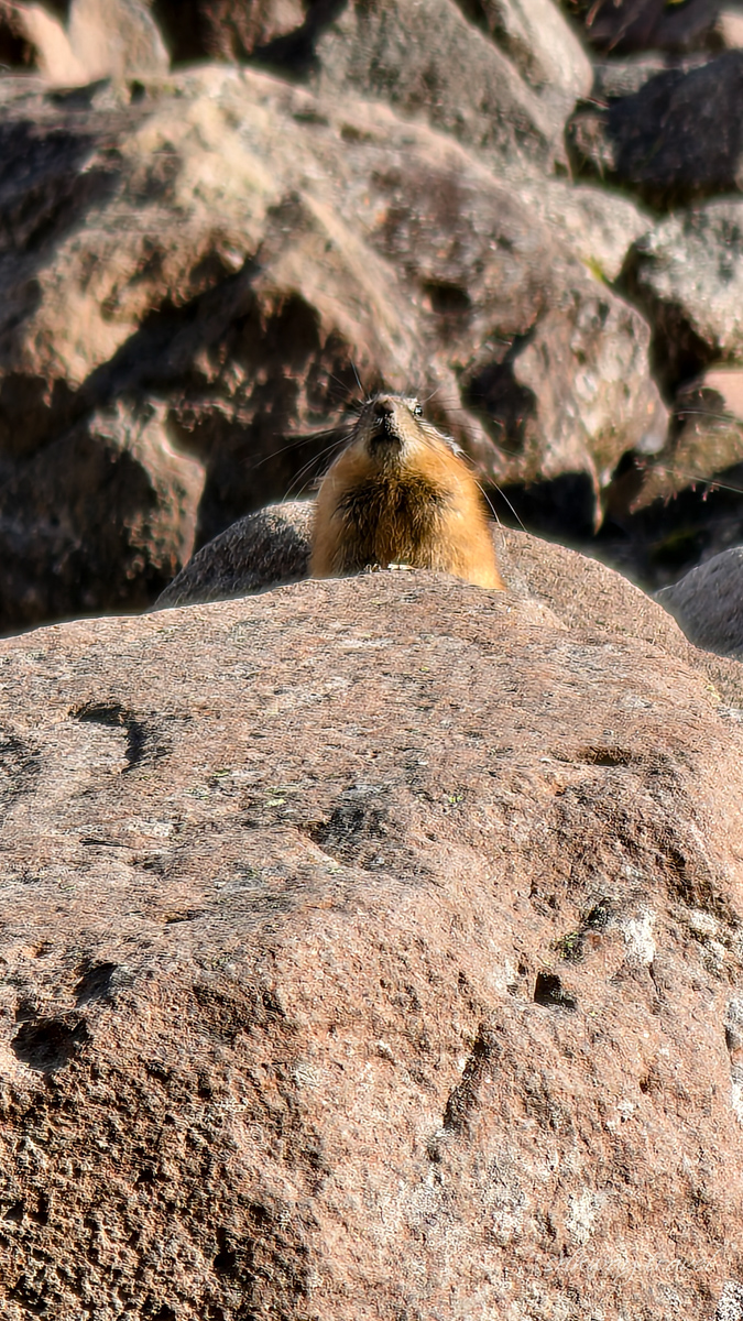 Плато Путорана