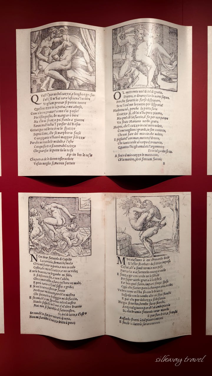 Академия Венеция